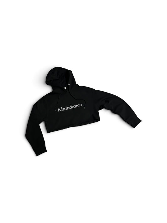 Abundance crop hoodie